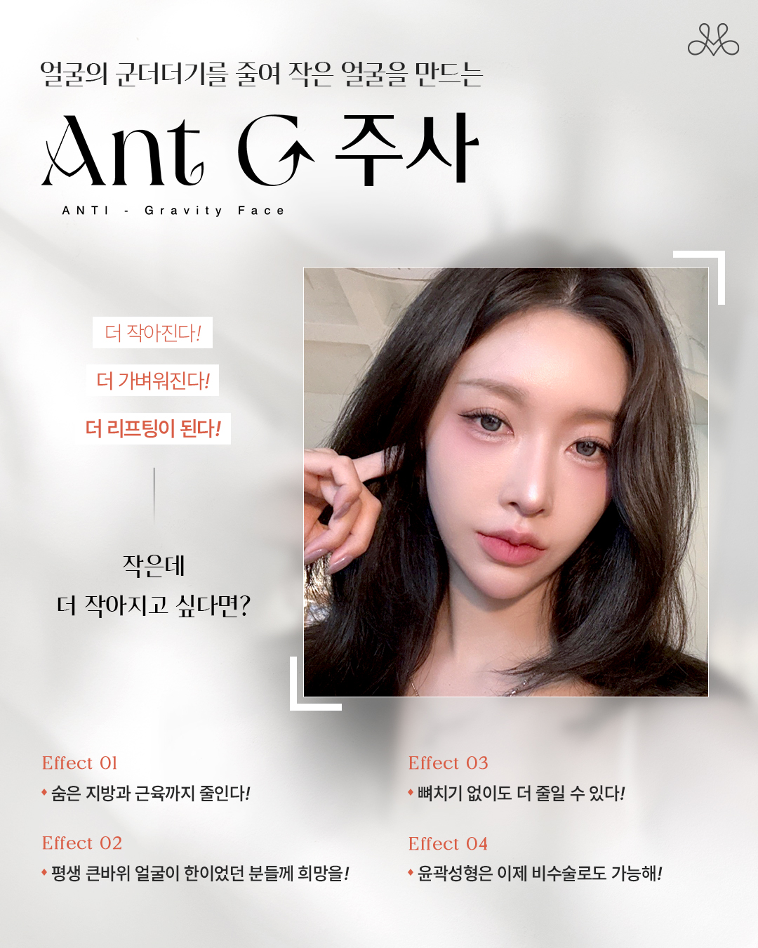 작은 얼굴을 만드는 AntG 주사